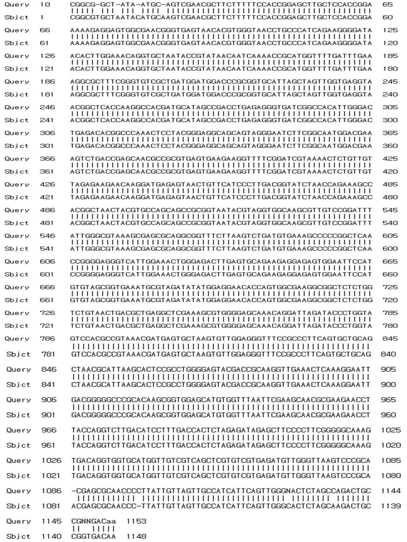 16S rRNA sequencing of C-178 strain