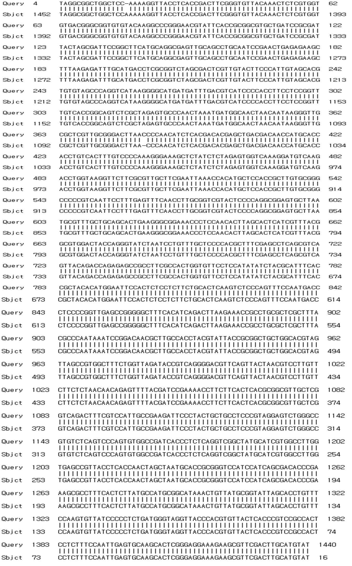 16S rRNA sequencing of D-366 strain