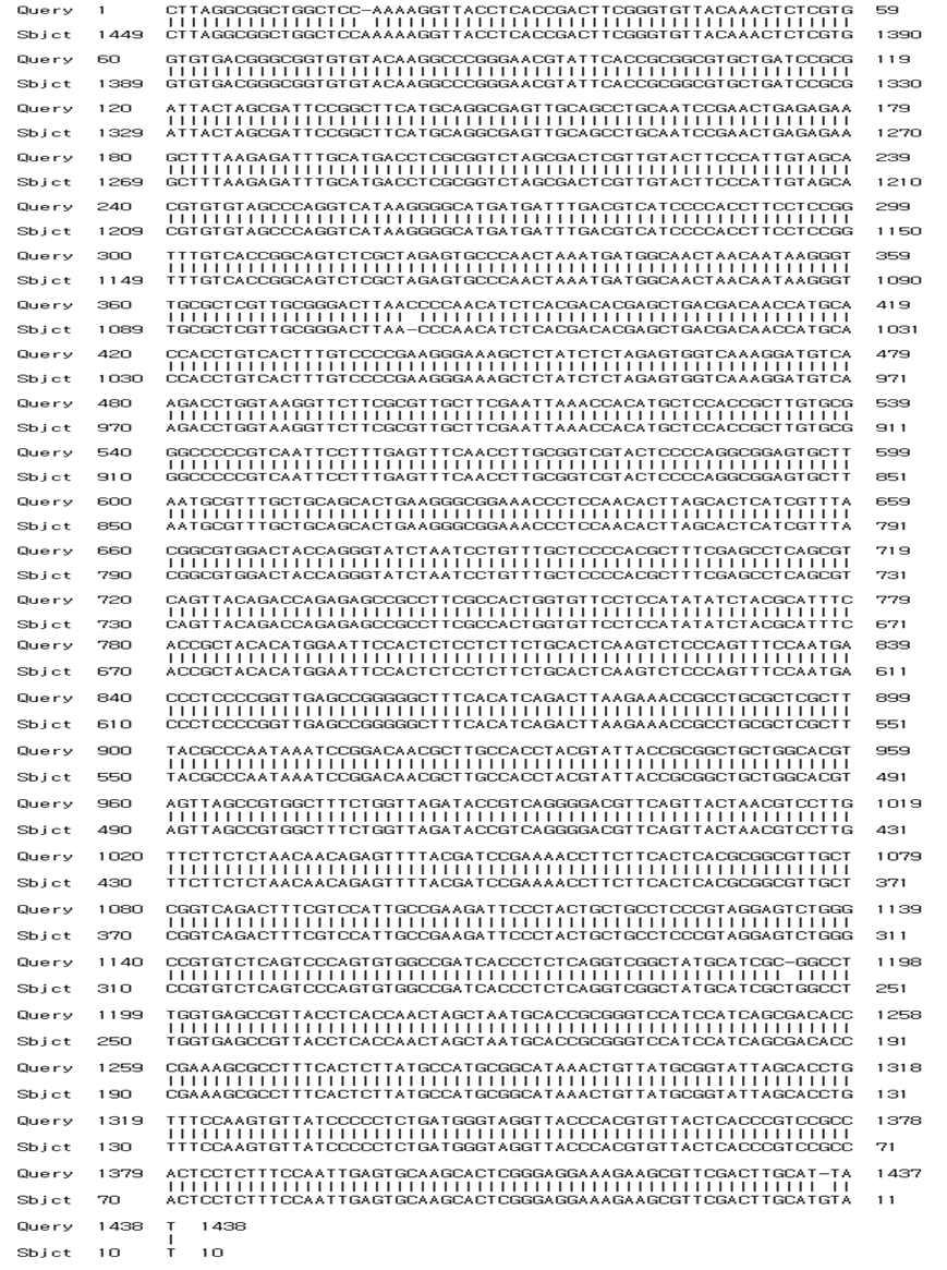 16S rRNA sequencing of E-5 strain