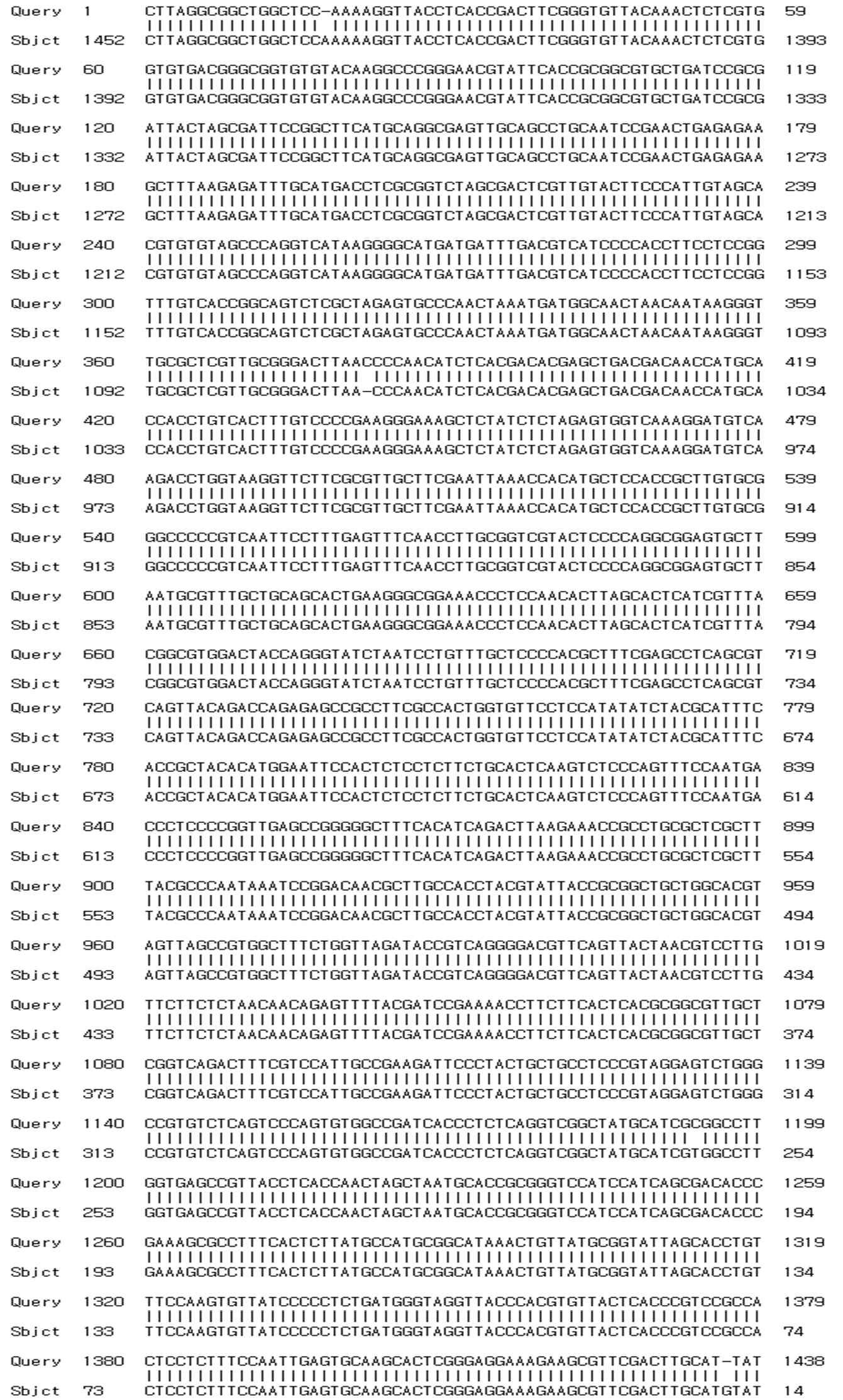 16S rRNA sequencing of E-16 strain