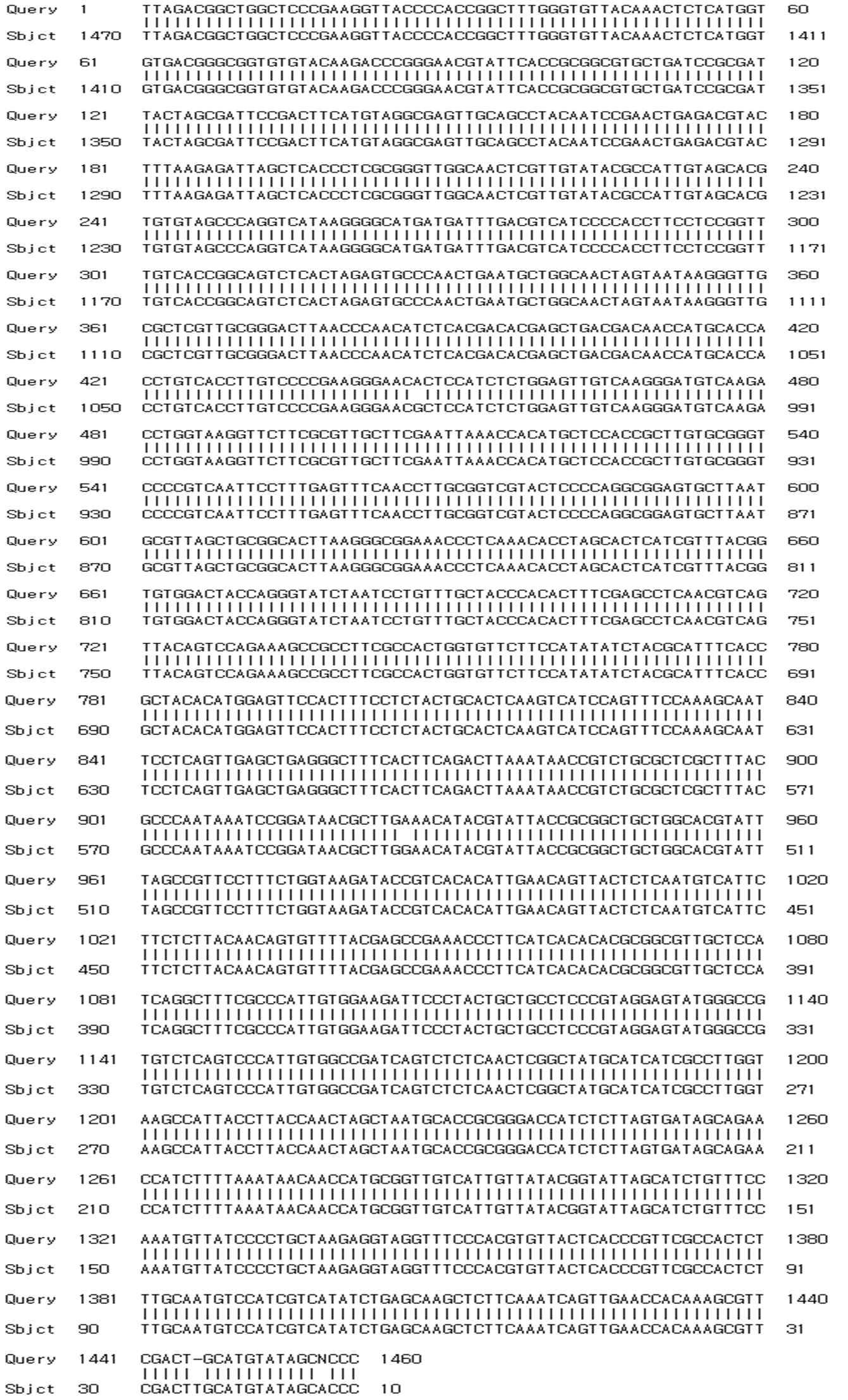 16S rRNA sequencing of F-13 strain