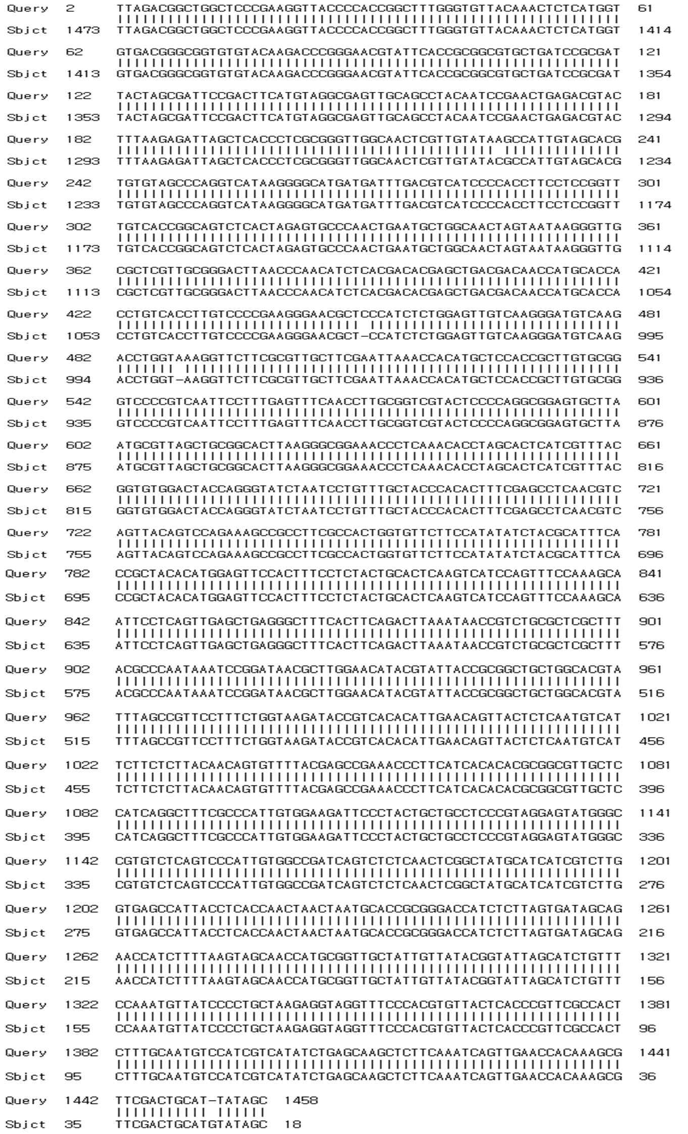 16S rRNA sequencing of F-22 strain