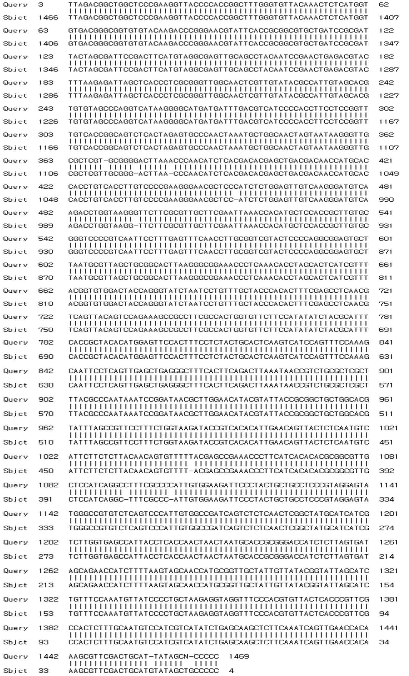 16S rRNA sequencing of F-24 strain