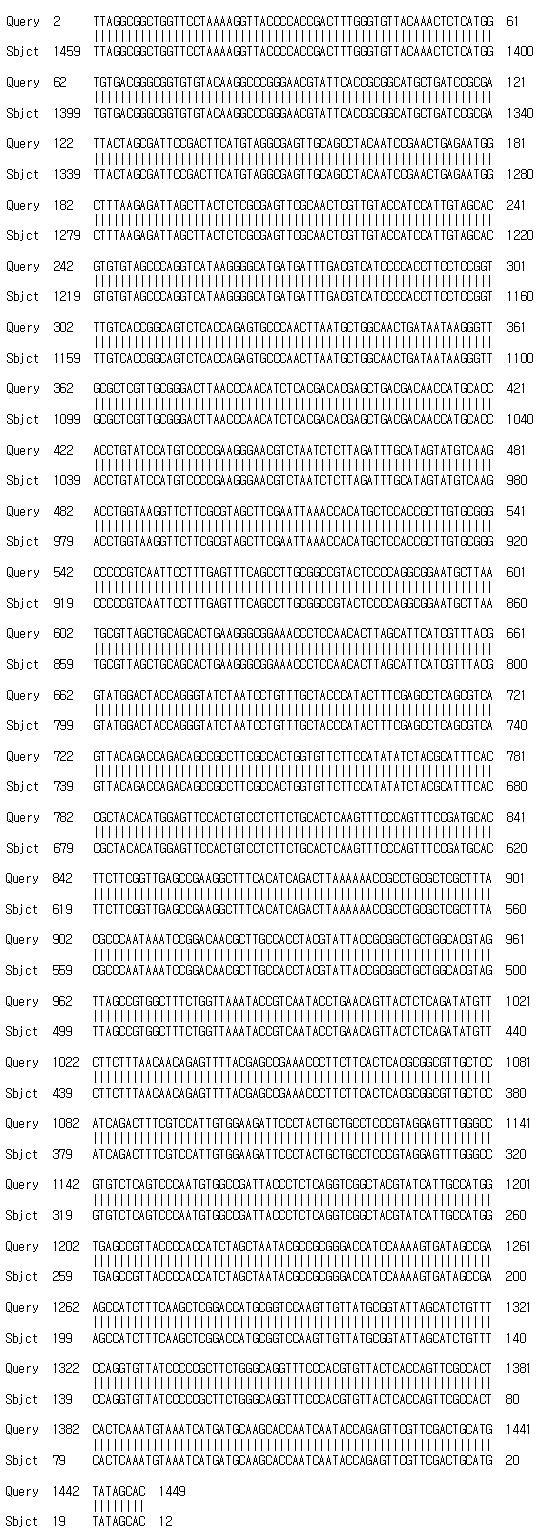 16S rRNA sequencing of Q-180 strain