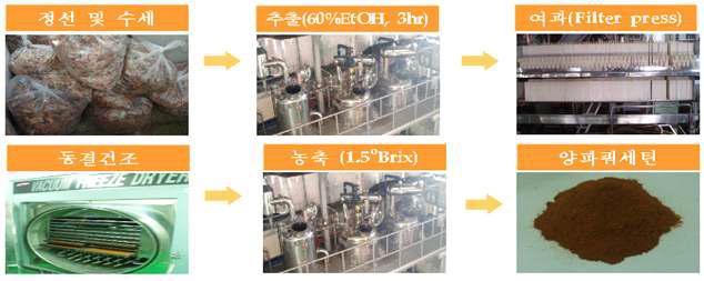 양파껍질 추출분말제조 공정