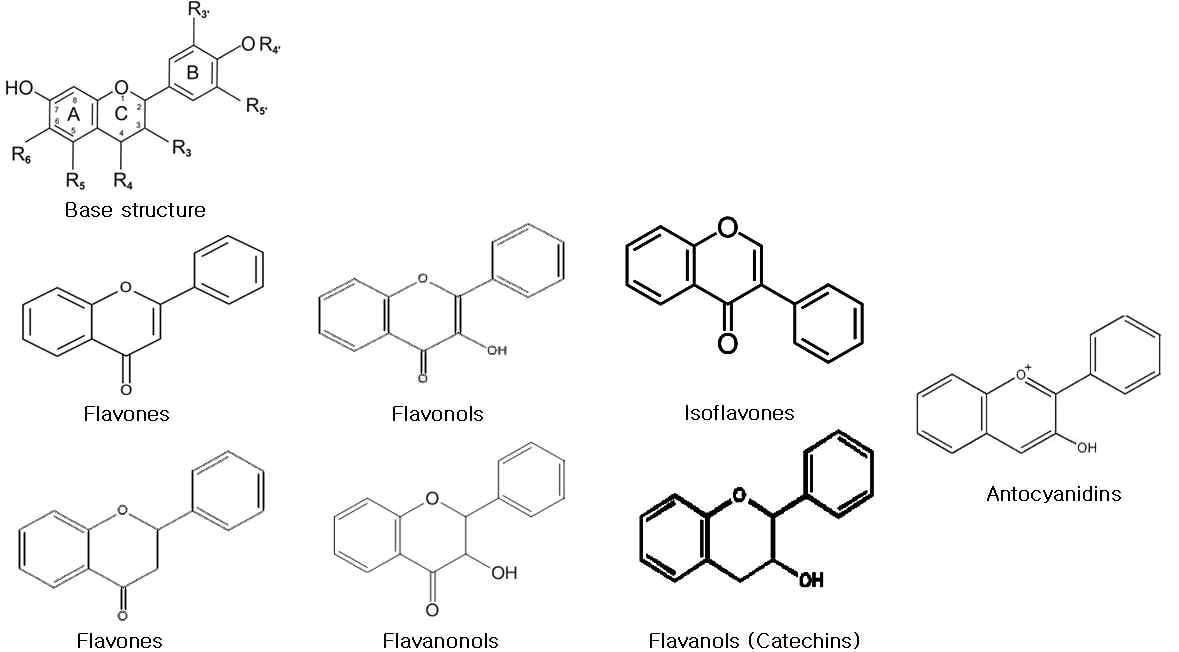 플라보노이드 화합물의 구조