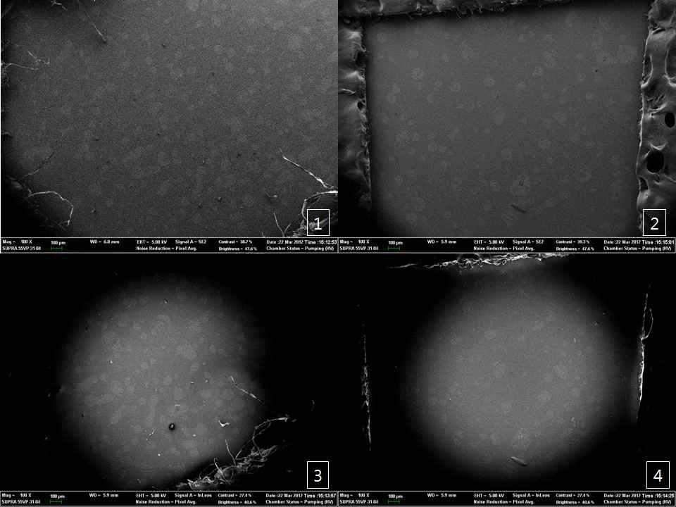 전자주사현미경을 통해 관찰된 TiO2 코팅된 석영관 100X
