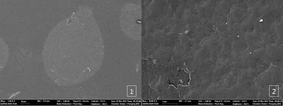 전자주사현미경을 통해 관찰된 TiO2 코팅된 석영관 1680X