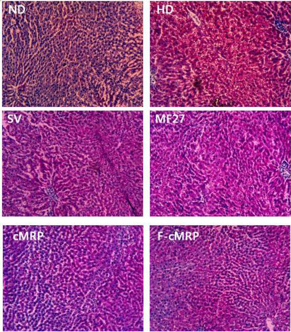 Histological examination of liver by Oil red O staining in different groups(magnification, x100)