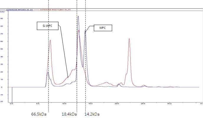 WPC과 G-WPC의 단백질 분석