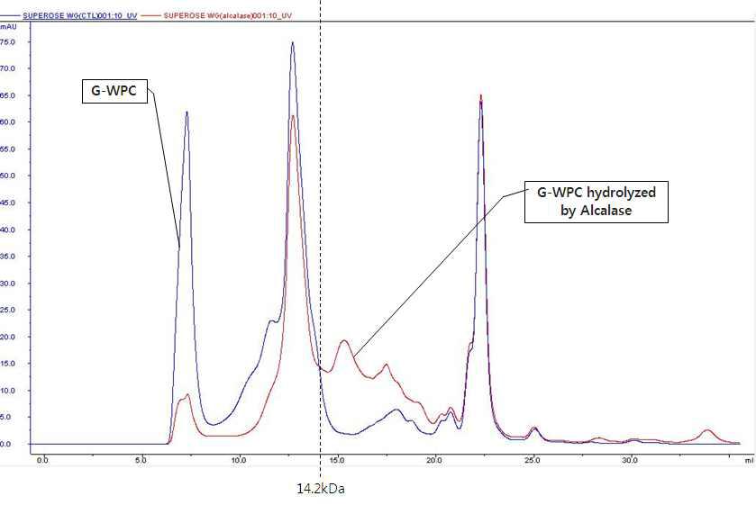 G-WPC와 G-WPC alcalase 처리 가수분해물의 단백질 분석