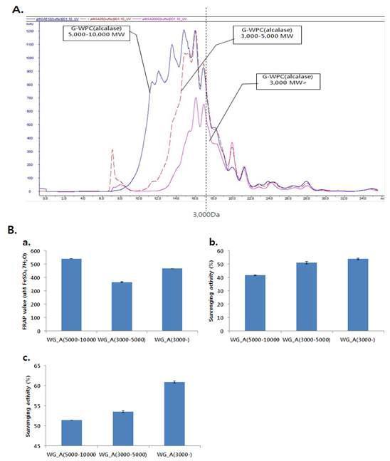 G-WPC alcalase 처리 가수분해물 분획의 펩타이드 분석과 항산화 효과 A. 펩타이드 분석, B. 항산화 활성 (a. FRAP assay, b. ABTS assay, c. DPPH assay)