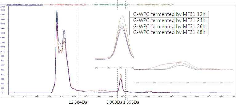 G-WPC MF31 발효물의 발효 시간별 펩타이드 비교 분석