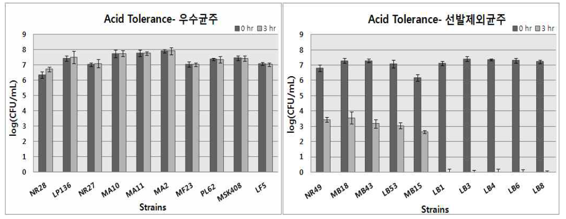 내산성 선발 결과