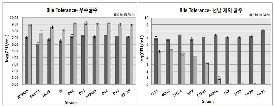 내담즙성 선발 결과