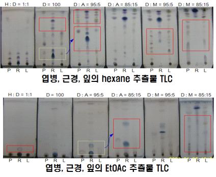 Compare with hexane, EtOAc, BuOH and aqueous extracts from leaf, petiole and rhizome of P . japonicus Max