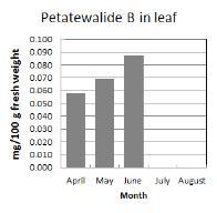 Seasional change of petatewalide B from P. japonicus leaf.