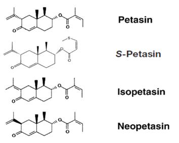 Chemical structure of petasin, S-petasin, isopetasin, neopetasin.