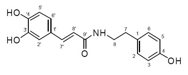 Compound 1, G46-52-12P (N-trans-ρ-caffeoyl tyramine)의 구조
