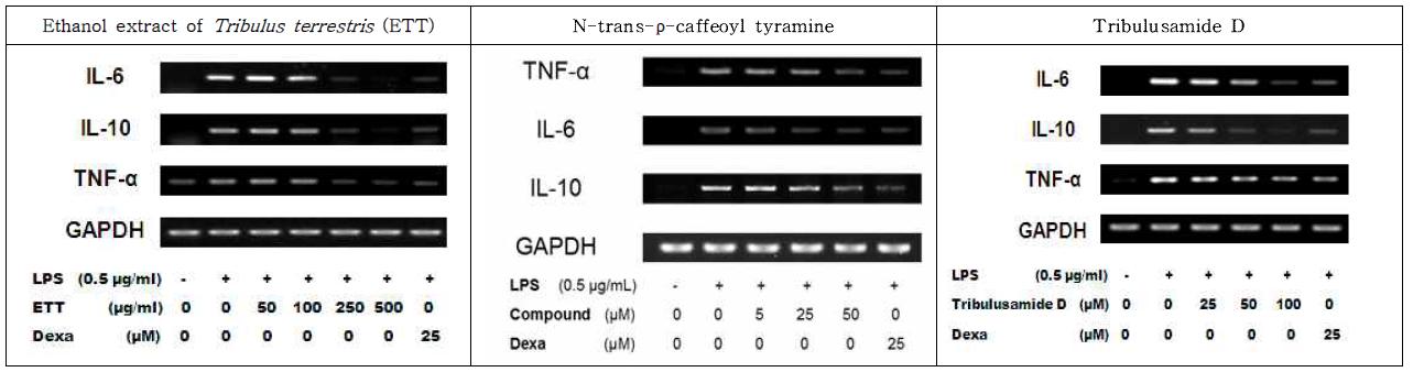 Effects of Ethanol extract of T. terrestris (ETT), N-trans-ρ-caffeoyl tyramine and tribulusamide D on the expression of inflammatory cytokines mRNA in RAW 264.7 cells.