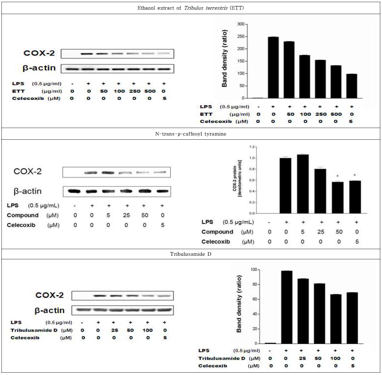 Effects of Ethanol extract of T. terrestris (ETT), N-trans-ρ-caffeoyl tyramine, and tribulusamide D on inhibition of COX-2 expression in RAW 264.7 cells.