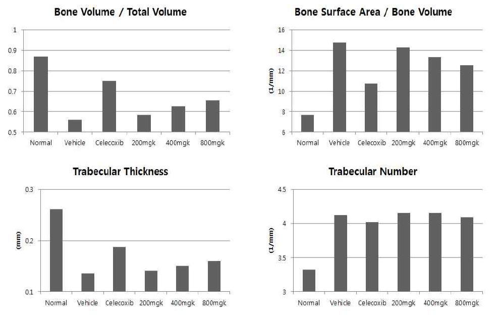 2주 Bone Morphometry 분석 결과