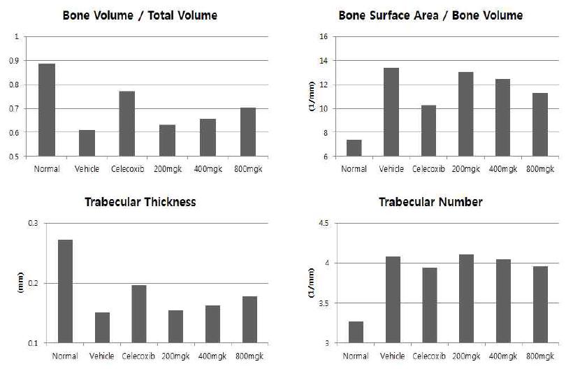 4주 Bone Morphometry 분석 결과