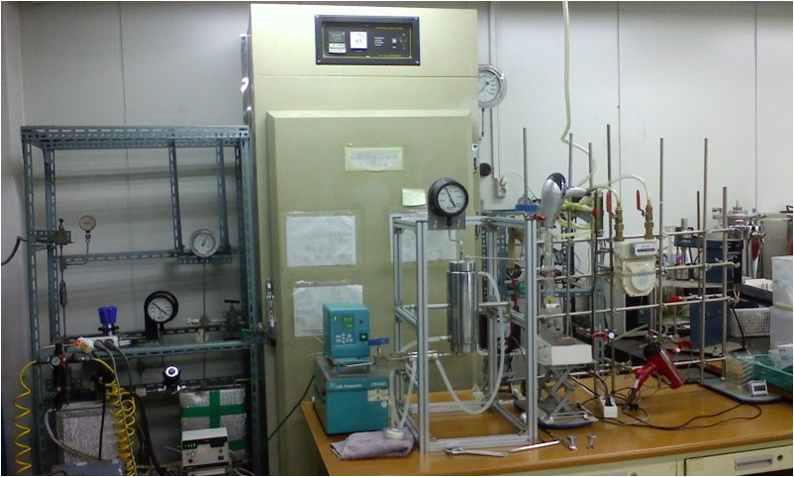 Supercritical carbon dioxide extraction system used in the present study.