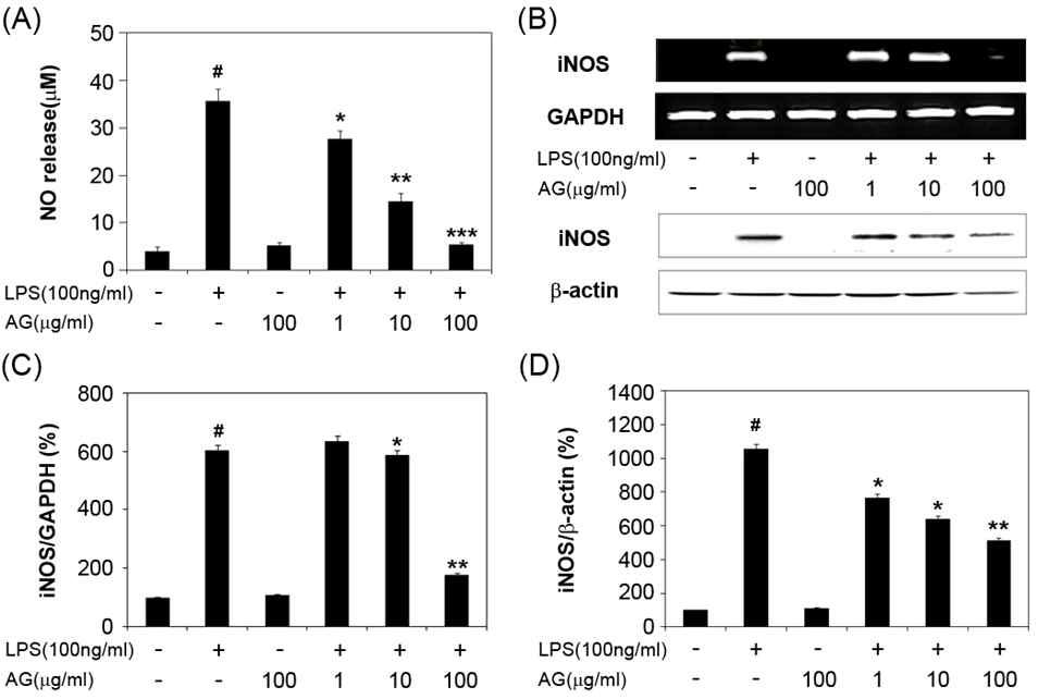 LPS로자극된 BV-2 신경교세포에서 NO의 방출 (A)과, iNOS의 전사 및 단백질 단계 (B,C,D)에서 수검초 추출물의 농도에 따른 저해 효능
