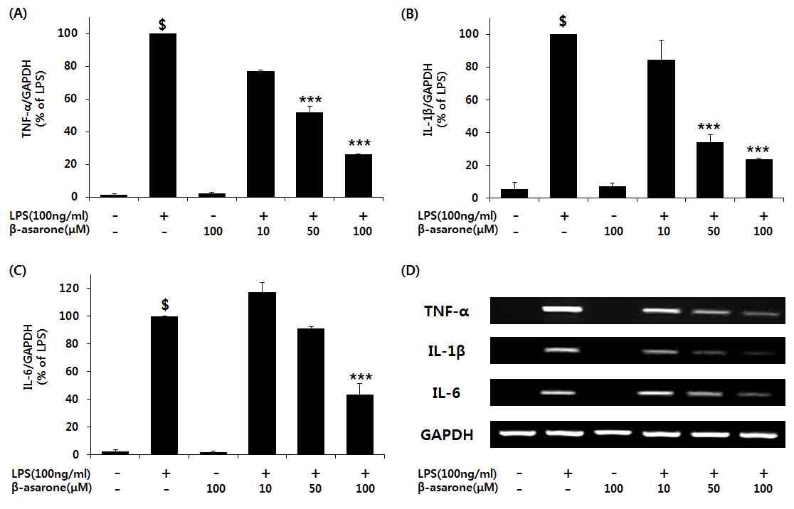 LPS로 자극된 BV2 신경교세포에서 전염증성 매개체인 TNF-α, IL-1β, IL-6 사이토카인의 β-asarone 농도에 따른 저해 효능.