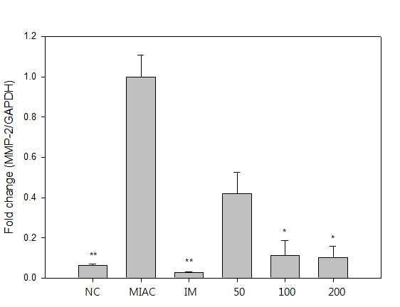 MIA로 유도된 rat 연골조직에서의 MMP-2 mRNA level 측정.