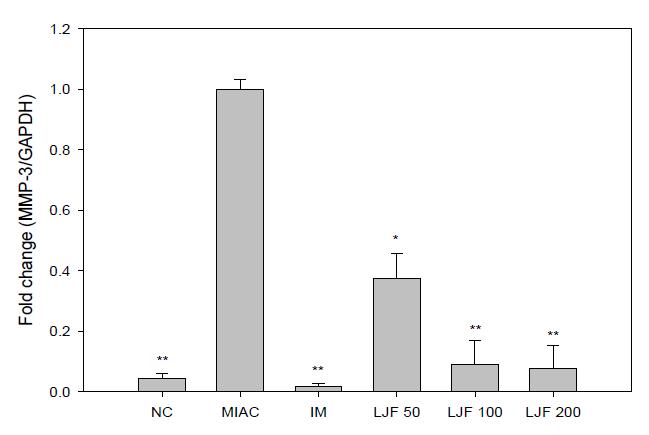 MIA로 유도된 rat 연골조직에서의 MMP-3 mRNA level 측정.