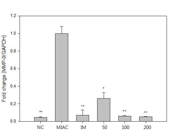 MIA로 유도된 rat 연골조직에서의 MMP-7 mRNA level 측정.