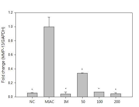 MIA로 유도된 rat 연골조직에서의 MMP-13 mRNA level 측정.