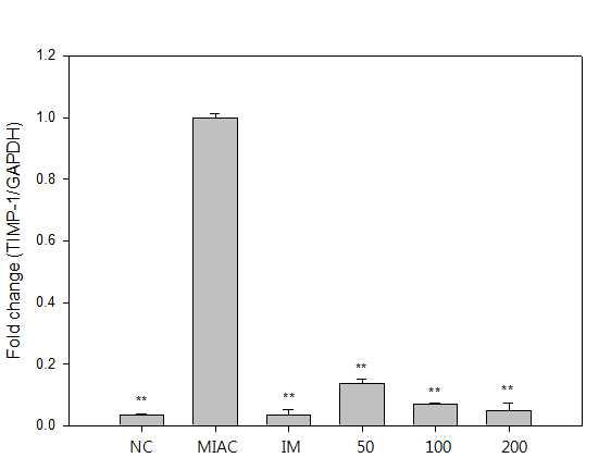 MIA로 유도된 rat 연골조직에서의 TIMP-1 mRNA level 측정.