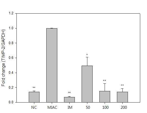 MIA로 유도된 rat 연골조직에서의 TIMP-2 mRNA level 측정.