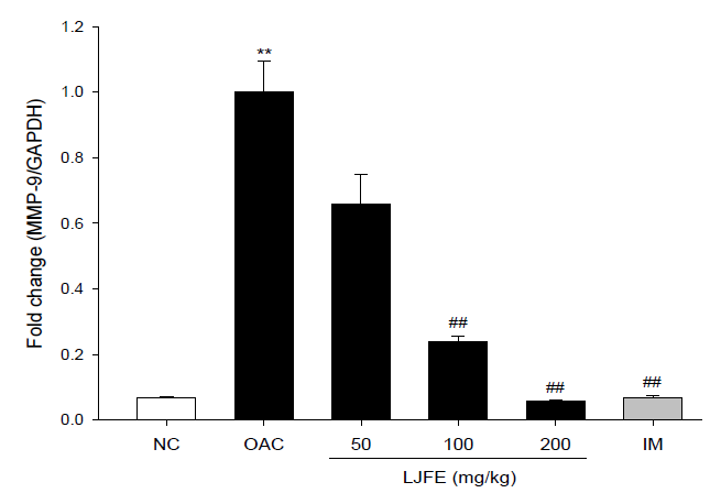 MIA로 유도된 rat 연골조직에서의 MMP-9 mRNA level 측정.