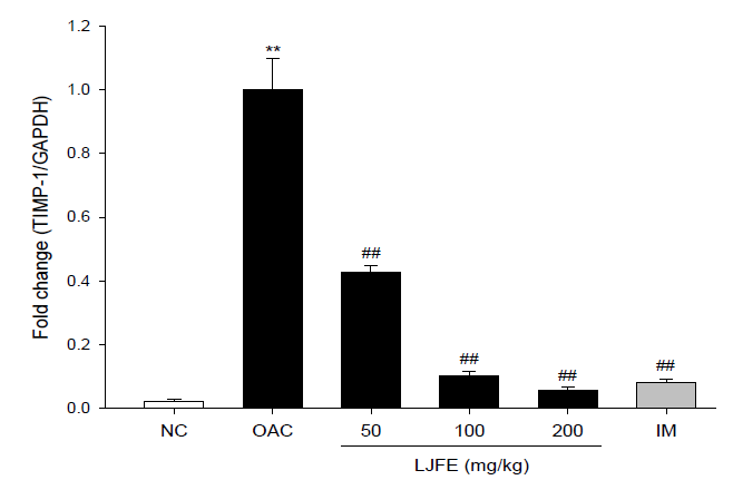 MIA로 유도된 rat 연골조직에서의 TIMP-1 mRNA level 측정.