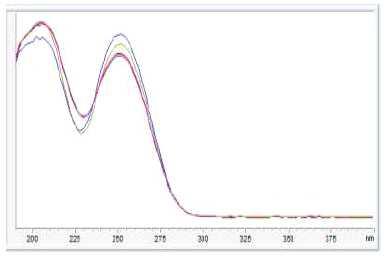 Peak purity test : 시험용액 중 Hamabiwalactone B Peak 각 5점의 spectrum 분석