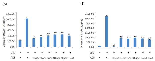 BV2 세포에서 미선나무 꽃 추출물에 의한 염증성 사이토카인인 TNF-α (A)와 IL-6 (B) 분비량 변화
