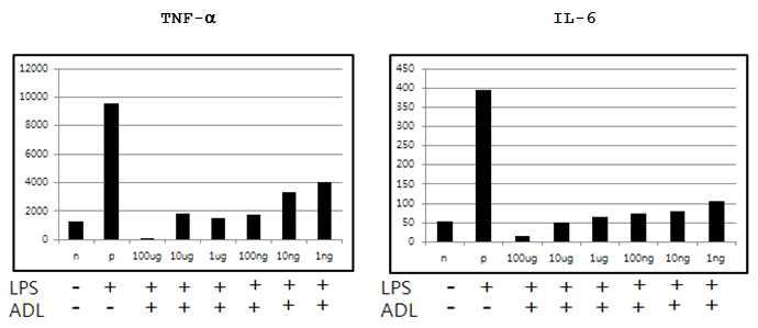 Raw264.7 세포에서 미선나무 잎 추출물에 의한 염증성 사이토카인인 TNF-α와 IL-6 분비량의 변화