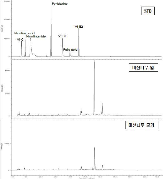 미선나무 잎 및 줄기에서의 수용성비타민 크로마토그램