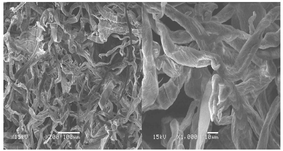 Scanning electron micrographs of peanut husk pulp fibers at active alkali 30% and sulfidity 30% conditions.