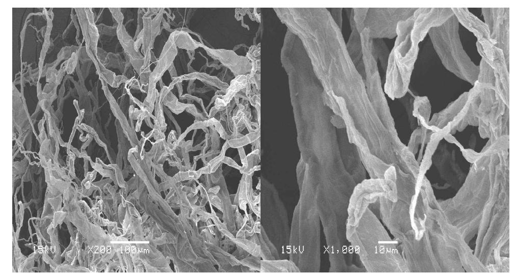 Scanning electron micrographs of garlic stem pulp fibers at active alkali 30% and sulfidity 30% conditions.