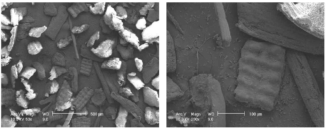 Scanning electron micrographs of rice husk organic filler (R 60-100).