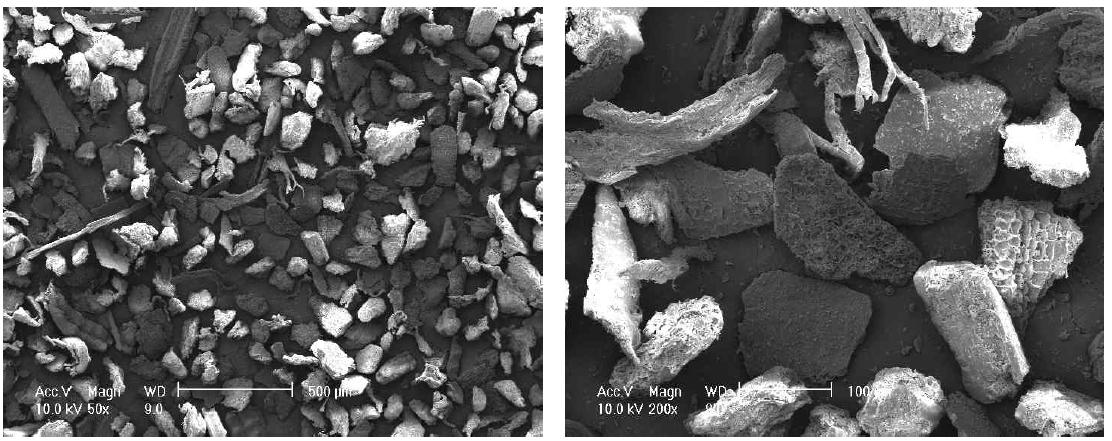 Scanning electron micrographs of rice husk organic filler (R 100-200).