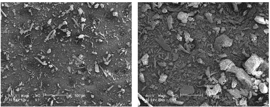Scanning electron micrographs of rice husk organic filler (R 200).