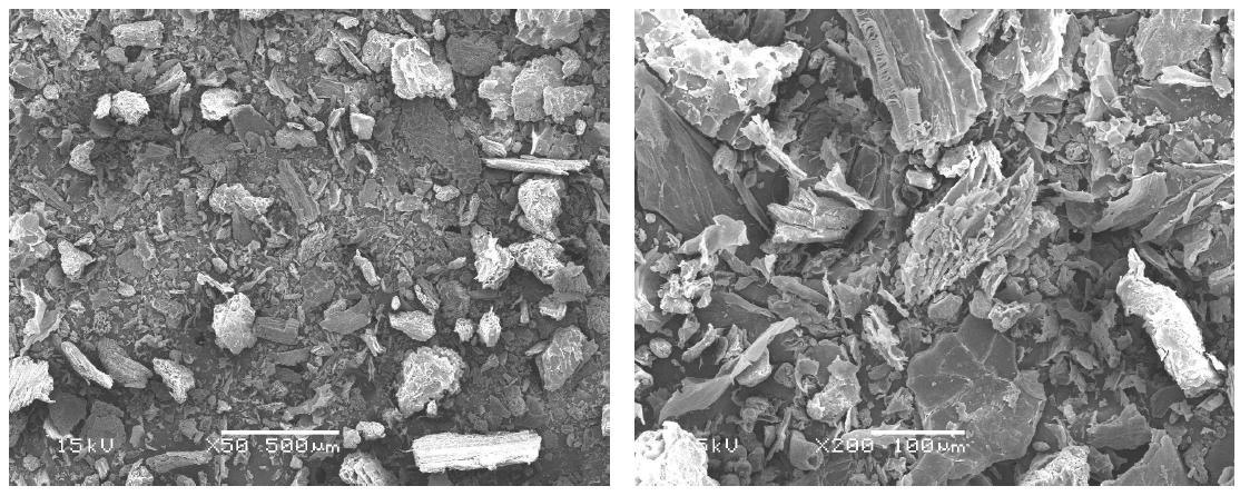 Scanning electron micrographs of peanut husk organic filler (R all).