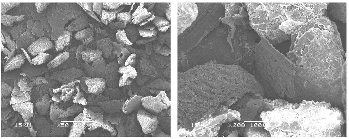 Scanning electron micrographs of peanut husk organic filler (R 60-100).