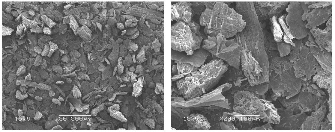 Scanning electron micrographs of peanut husk organic filler (R 100-200).